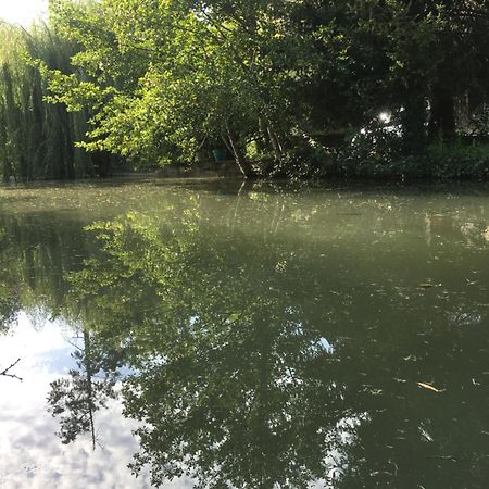 Villa Moulin De Coupigny Fontenille-Saint-Martin-d'Entraigues Esterno foto